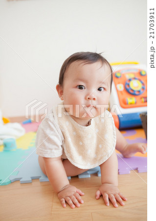 9 months old 21703911