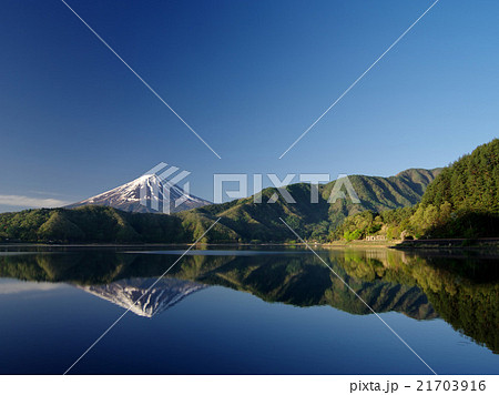 春新緑の河口湖 春新緑の河口湖 21703916