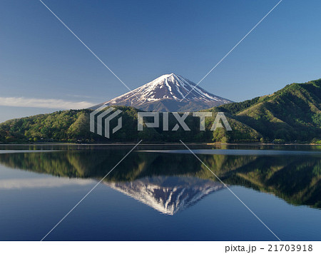 春新緑の河口湖 春新緑の河口湖 21703918