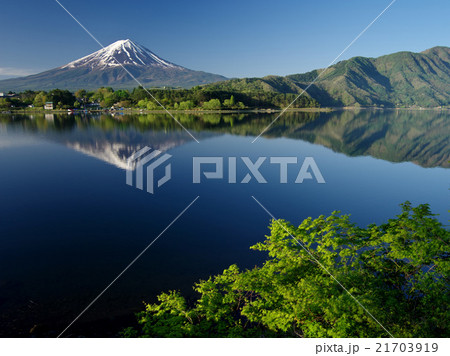 春新緑の河口湖 21703919