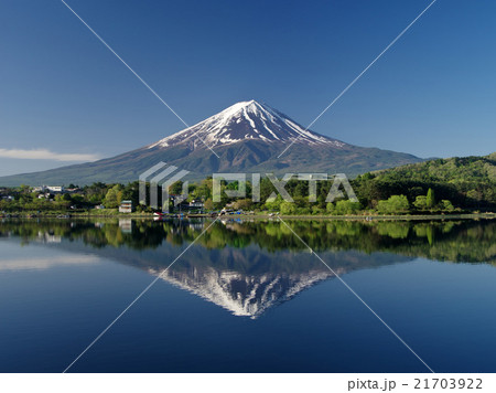 春新緑の河口湖 春新緑の河口湖 21703922