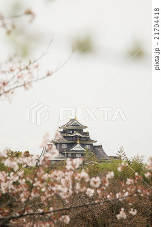 岡山城27 21704418