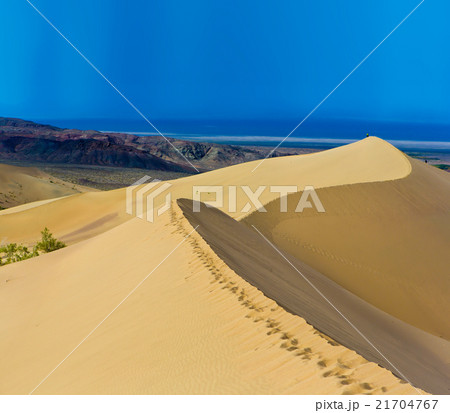 Desert landscape panorama dunes 21704767
