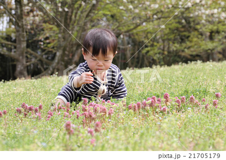 公園で遊ぶ幼児 21705179