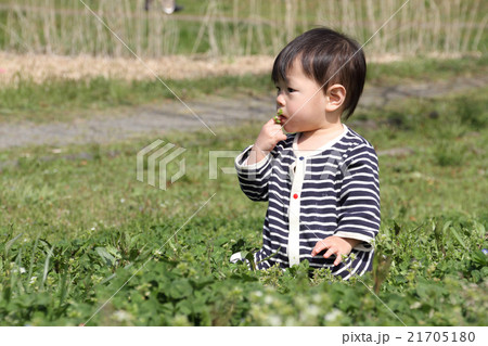 公園で遊ぶ幼児 公園で遊ぶ幼児 21705180