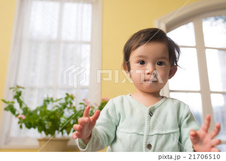 幼児フォトシリーズ 幼児フォトシリーズ 21706510