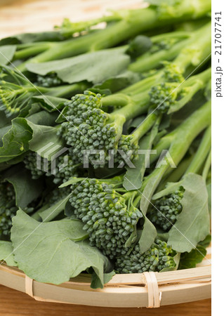スティックブロッコリー 21707741