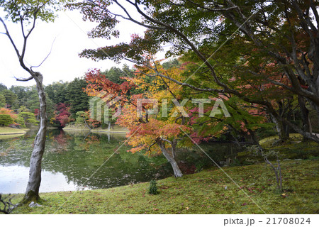 修学院離宮 上離宮 浴龍池 修学院離宮 上離宮 浴龍池 21708024