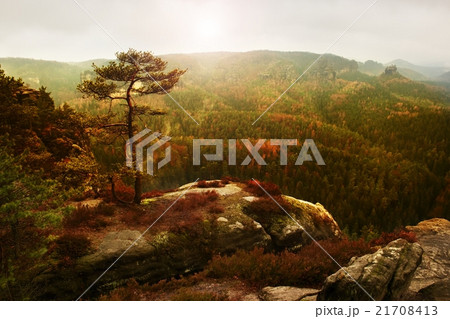 View through branches to deep misty valley View through branches to deep misty valley 21708413