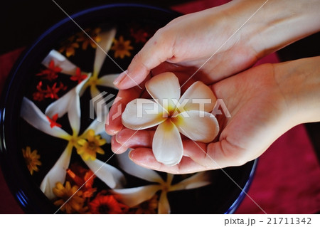 female hand and flower in water female hand and flower in water 21711342