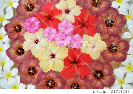 water cup with beautiful flowers background 21711355