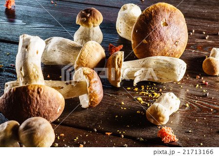 fresh boletus 21713166