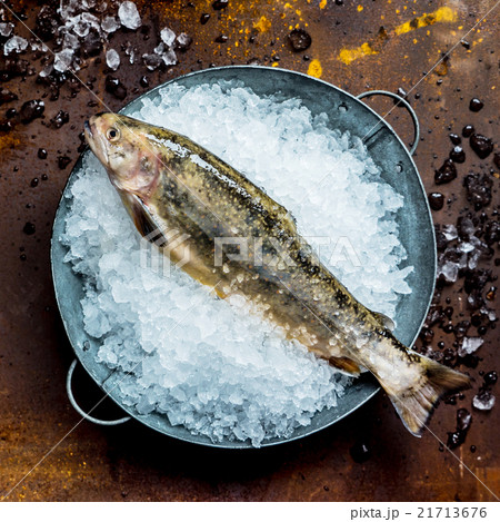 fresh fish 21713676
