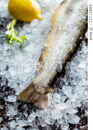 fresh fish fresh fish 21713869