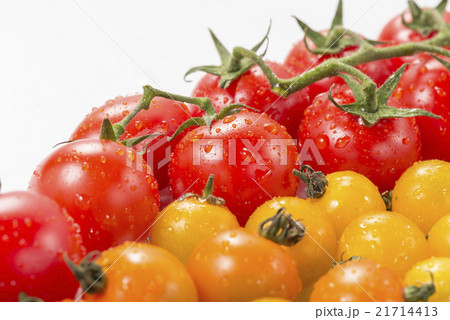 トマト トマト 21714413