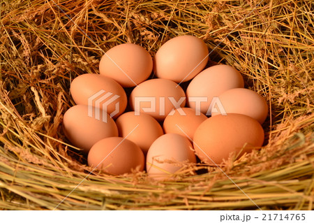Chicken eggs, laying eggs on the Seine. 21714765