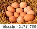 Chicken eggs, laying eggs on the Seine. 21714766