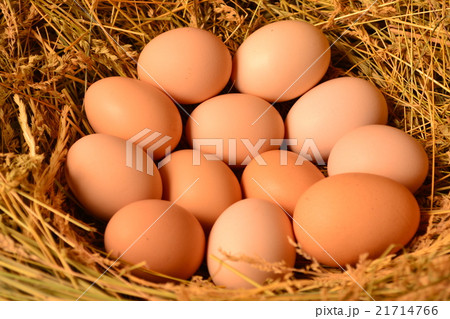Chicken eggs, laying eggs on the Seine. Chicken eggs, laying eggs on the Seine. 21714766