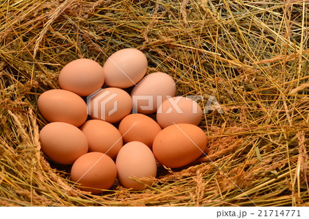 Chicken eggs, laying eggs on the Seine. Chicken eggs, laying eggs on the Seine. 21714771
