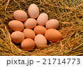 Chicken eggs, laying eggs on the Seine. 21714773