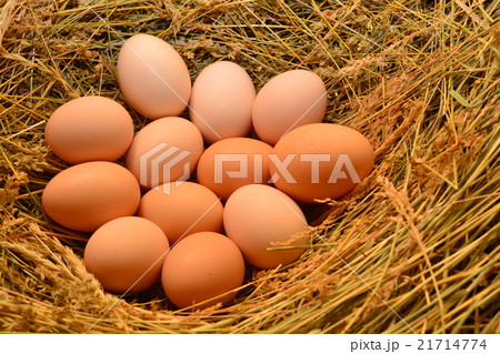 Chicken eggs, laying eggs on the Seine. Chicken eggs, laying eggs on the Seine. 21714774