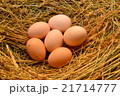 Chicken eggs, laying eggs on the Seine. 21714777