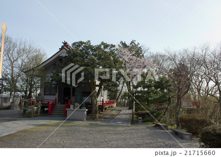 倶利伽羅不動尊 21715660
