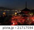 宮島・桜 21717594
