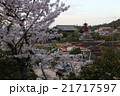 宮島・桜 21717597