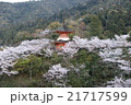 宮島・桜 21717599