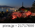 宮島・桜 21717600