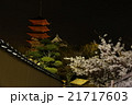 宮島・桜 21717603