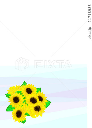 はがき　ひまわり　青と紫 21718988