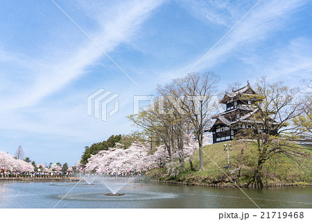 高田城と桜 21719468