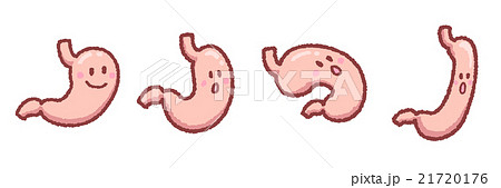 胃の形セット　顔つき 21720176
