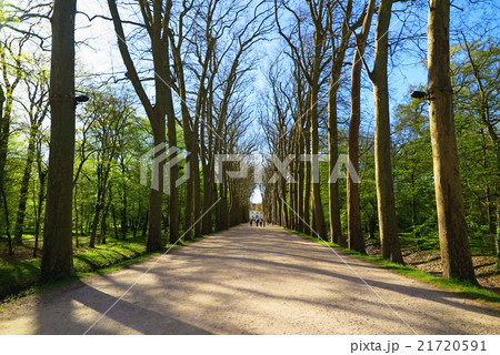 シュノンソー城への並木道(Chateau de Chanonceau) 21720591