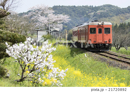 急行いすみ号05 21720892