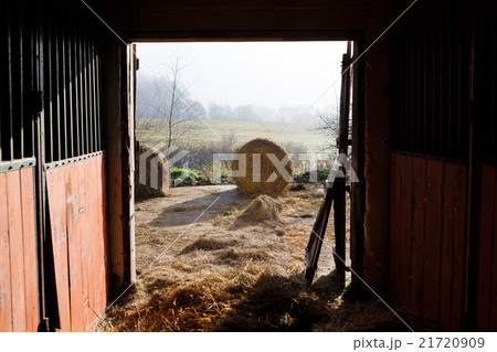 Door of a stable 21720909