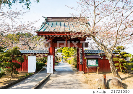 藻原寺 千葉県茂原市 春 2016年3月末現在 藻原寺 千葉県茂原市 春 2016年3月末現在 21721030
