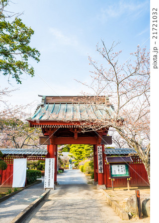 藻原寺 千葉県茂原市 春 2016年3月末現在 藻原寺 千葉県茂原市 春 2016年3月末現在 21721032