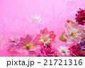 ピンク背景と糸で編みあげた花（トルコ伝統手芸／オヤ） 21721316