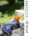 夏の日差しとサングラス 21721444