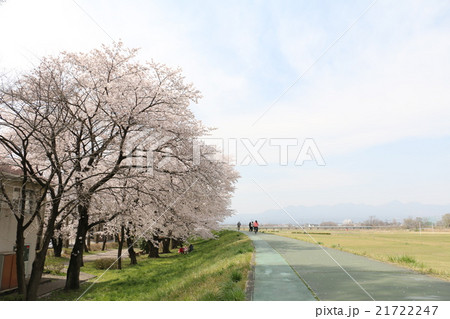 乗附緑道 乗附緑道 21722247