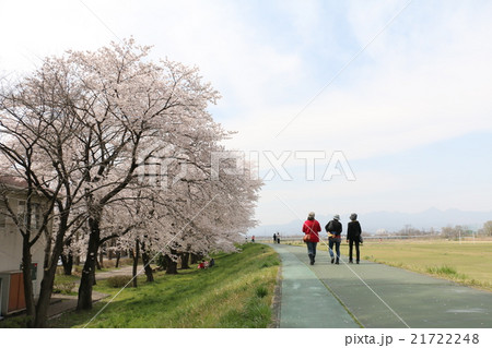 乗附緑道 乗附緑道 21722248