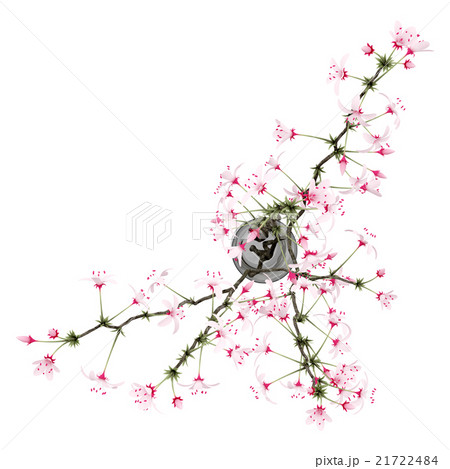 top view of flowering tree twigs in glass vase 21722484