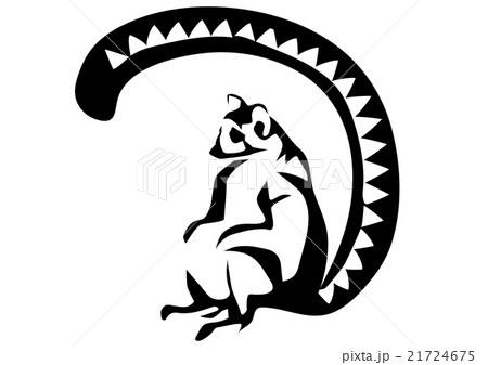 ring tailed lemur 21724675