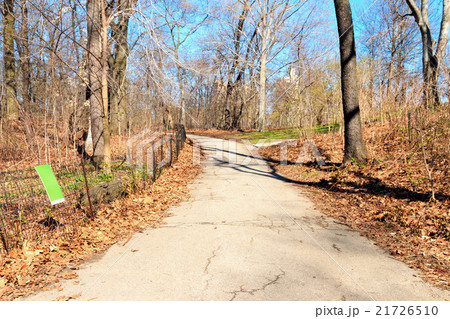 Central Park Spring Scene - New York City Central Park Spring Scene - New York City 21726510