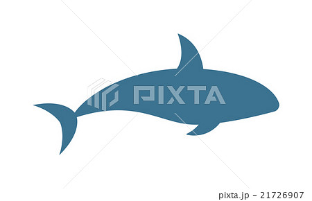 Killer whale Orcinus orca vector isolated on white 21726907