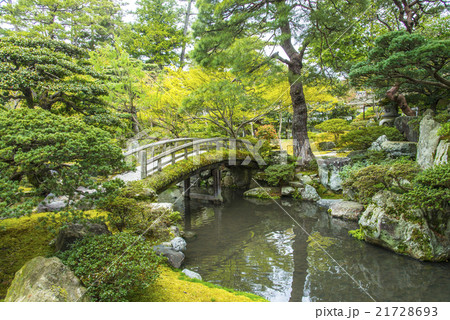 京都御所御内庭 京都御所御内庭 21728693