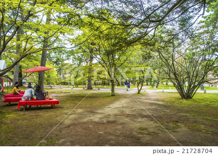 御所の茶会 御所の茶会 21728704